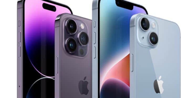 Apple Apple