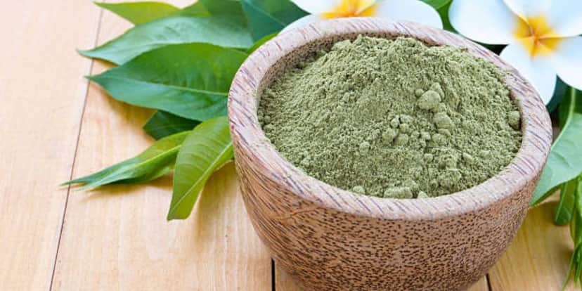 A planta moída para fazer a mistura no cabelo (Reprodução: Internet) A planta moída para fazer a mistura no cabelo (Reprodução: Internet)