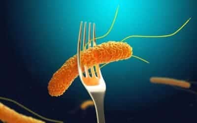 Bactéria Salmonella (Foto: Reprodução / Canva) Bactéria Salmonella (Foto: Reprodução / Canva)