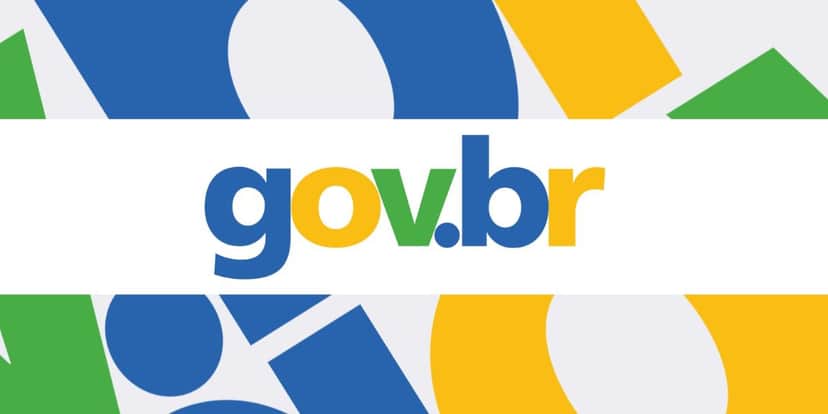 Dá para fazer o processo através do site do governo (Reprodução: Internet) Dá para fazer o processo através do site do governo (Reprodução: Internet)