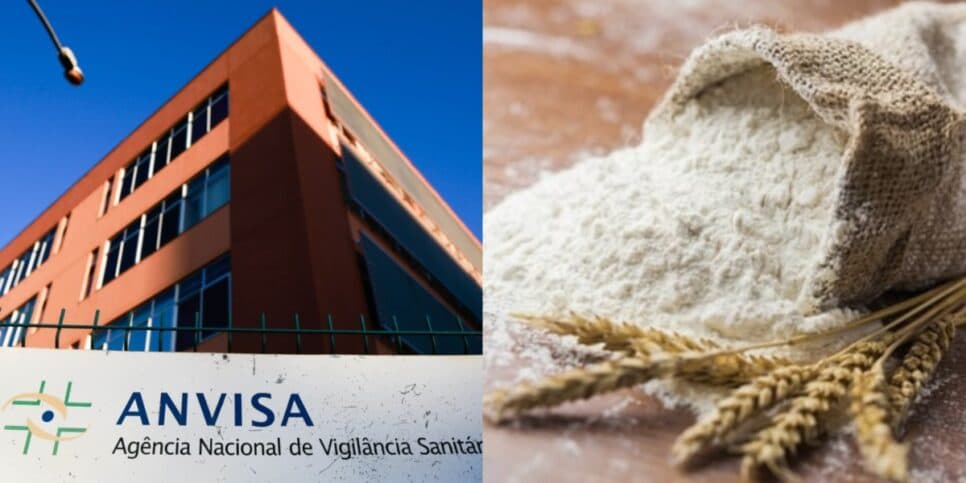 Atualizações de hoje (20): Anvisa informa recolhimento de farinha popular das donas de casa