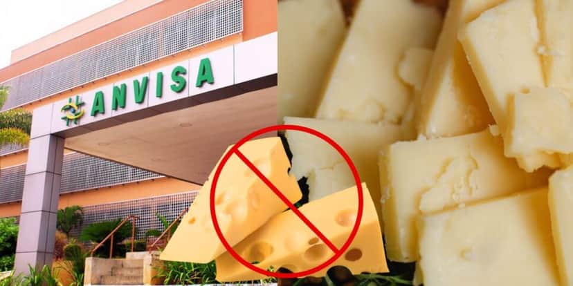 Anvisa e proibição de queijo - Foto Reprodução Internet Anvisa e proibição de queijo - Foto Reprodução Internet