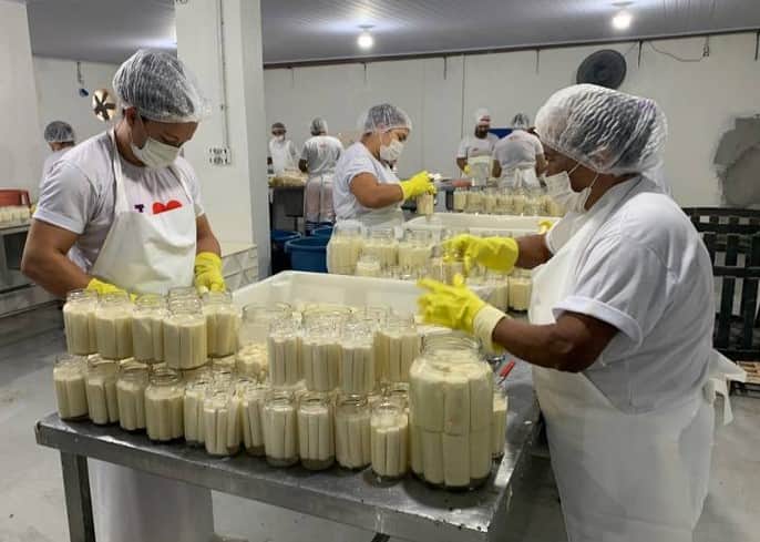 Fábrica Alteroza, produzindo o produto Palmito de Açaí em Conserva (Foto: Reprodução / SEDEME) Fábrica Alteroza, produzindo o produto Palmito de Açaí em Conserva (Foto: Reprodução / SEDEME)