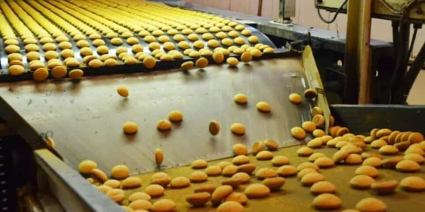 Fábrica de biscoitos acabou sendo interditada pela Vigilância Sanitária (Foto: Reprodução/ Internet) Fábrica de biscoitos acabou sendo interditada pela Vigilância Sanitária (Foto: Reprodução/ Internet)