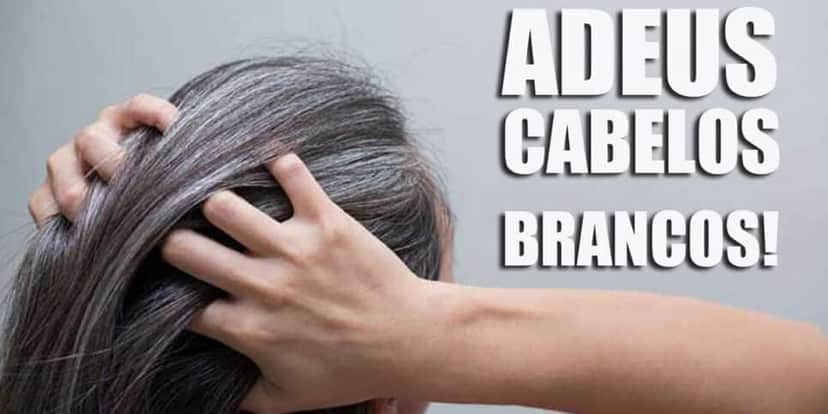 http://tvfoco.uai.com.br/wp-content/uploads/2015/05/Daniela-Mercury.jpg http://tvfoco.uai.com.br/wp-content/uploads/2015/05/Daniela-Mercury.jpg