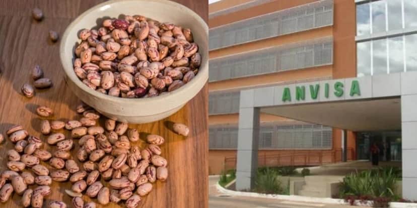 Anvisa fez proibição contra 2 marcas de feijão (Foto: Reprodução/ Internet) Anvisa fez proibição contra 2 marcas de feijão (Foto: Reprodução/ Internet)