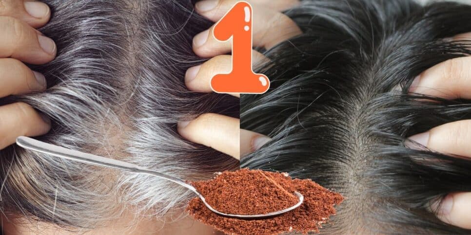 Cabelo branco, escuro e café (Foto: Reprodução / Canva) Cabelo branco, escuro e café (Foto: Reprodução / Canva)