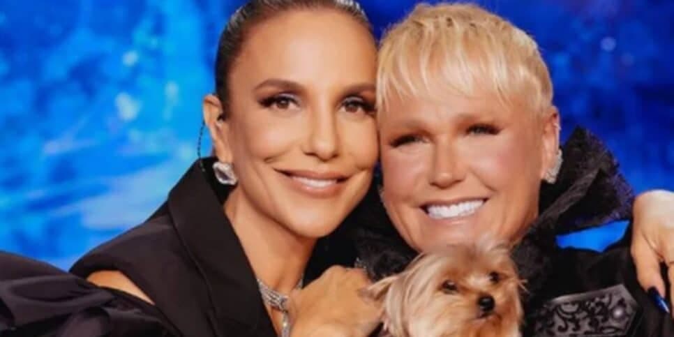 http://tvfoco.uai.com.br/wp-content/uploads/2015/05/Daniela-Mercury.jpg http://tvfoco.uai.com.br/wp-content/uploads/2015/05/Daniela-Mercury.jpg