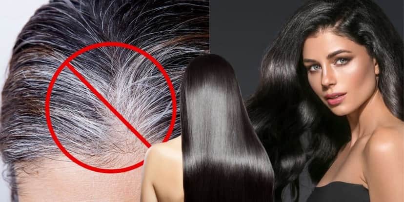 Cabelo branco e cabelo com cor - Foto Reprodução Internet Cabelo branco e cabelo com cor - Foto Reprodução Internet