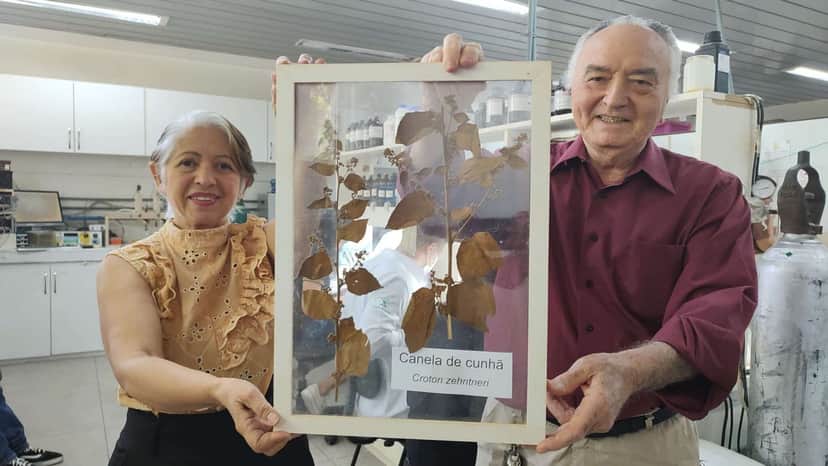 http://tvfoco.uai.com.br/wp-content/uploads/2015/05/Daniela-Mercury.jpg http://tvfoco.uai.com.br/wp-content/uploads/2015/05/Daniela-Mercury.jpg