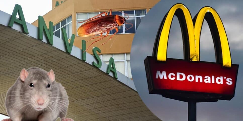 Comida PODRE: Anvisa faz interdição contra restaurante, rival do McDonalds, após flagra nojento