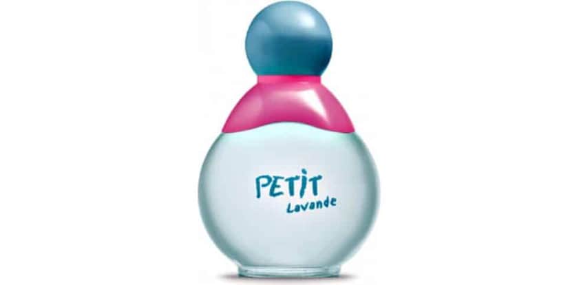 Petit Lavande (Reprodução/Internet) Petit Lavande (Reprodução/Internet)