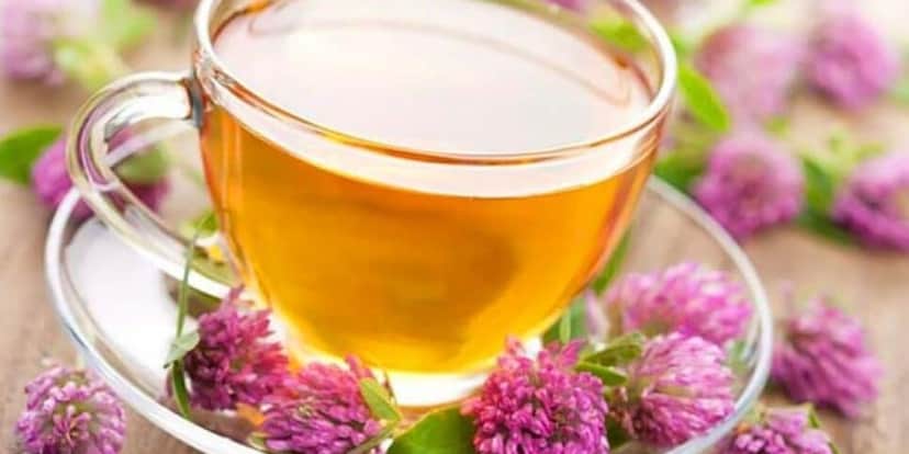 Chá de Valeriana Chá de Valeriana
