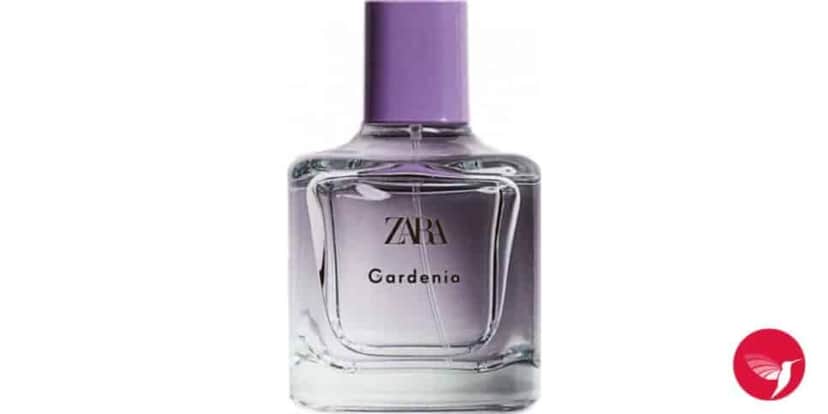 O Gardenia é uma fragrância floral leve melhor que muitos importados (Foto: Reprodução/ Internet) O Gardenia é uma fragrância floral leve melhor que muitos importados (Foto: Reprodução/ Internet)