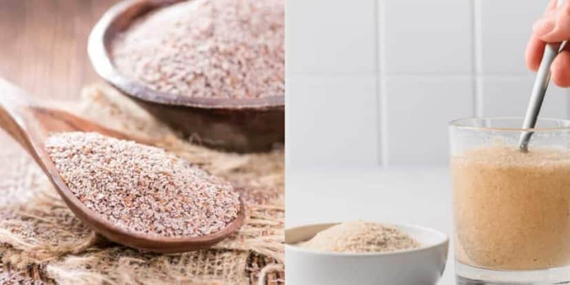 O PSYLLIUM é o ingrediente que age como o Ozempic de forma natural (Foto: Reprodução/ Internet) O PSYLLIUM é o ingrediente que age como o Ozempic de forma natural (Foto: Reprodução/ Internet)