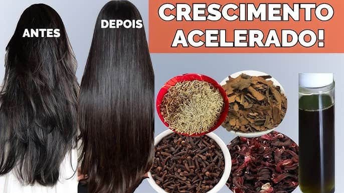 Tônico de alecrim promove crescimento acelerado (Foto Reprodução/YT) Tônico de alecrim promove crescimento acelerado (Foto Reprodução/YT)
