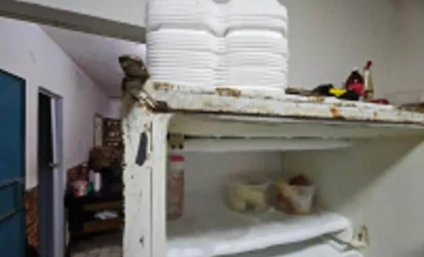 http://tvfoco.uai.com.br/wp-content/uploads/2015/05/Daniela-Mercury.jpg http://tvfoco.uai.com.br/wp-content/uploads/2015/05/Daniela-Mercury.jpg