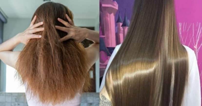 3 ingredientes naturais ressuscitam cabelos danificados pela tintura - Foto: Internet 3 ingredientes naturais ressuscitam cabelos danificados pela tintura - Foto: Internet