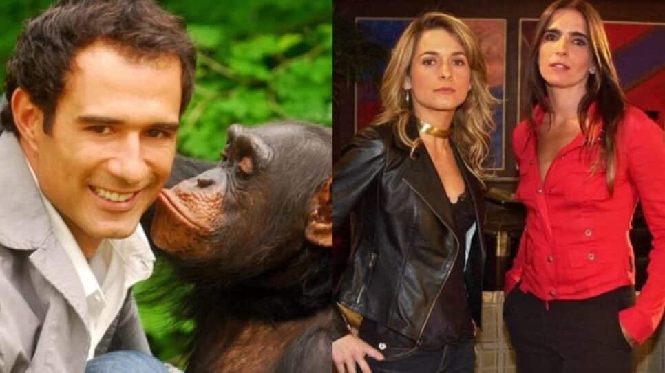 Novelas como Caras e Bocas e Celebridade voltam ao Viva em 2025 (Foto: Reprodução/ Divulgação) Novelas como Caras e Bocas e Celebridade voltam ao Viva em 2025 (Foto: Reprodução/ Divulgação)