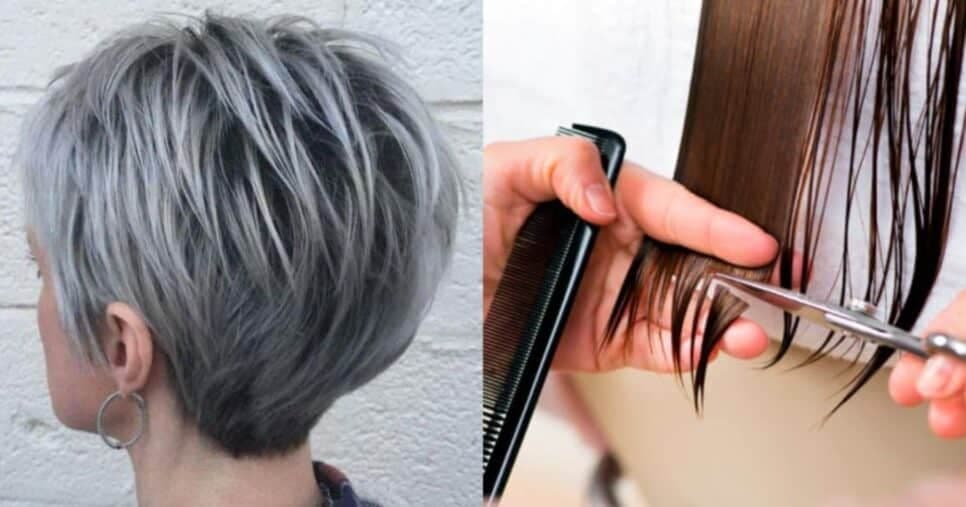 Quatro cortes de cabelo tendência para 2025 que valorizam mais que plástica - Foto: Internet Quatro cortes de cabelo tendência para 2025 que valorizam mais que plástica - Foto: Internet