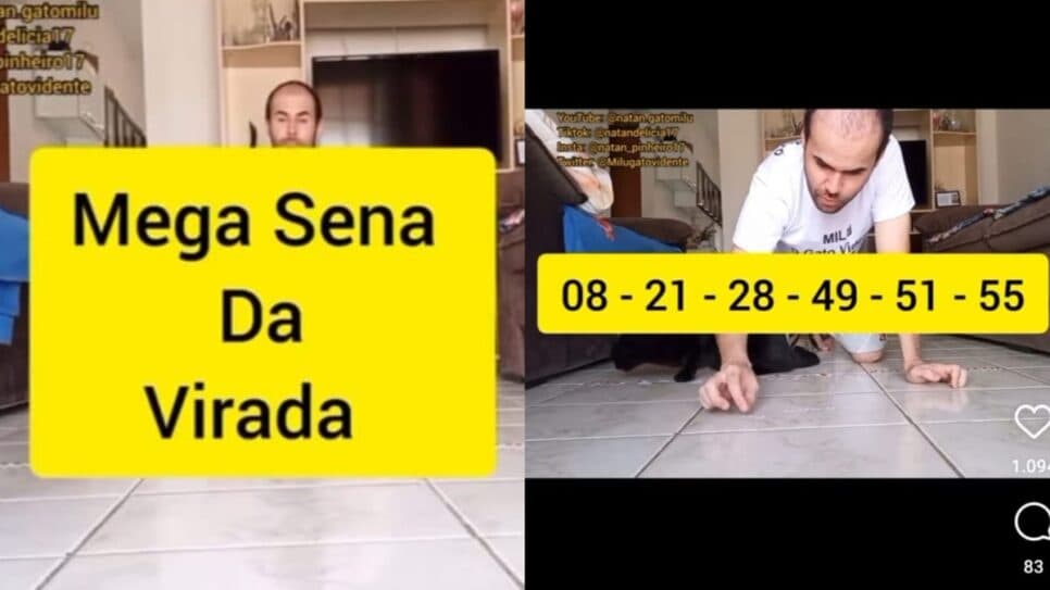 O gato costuma acertar as dezenas sorteadas segundo seleção própria (Foto: Reprodução/ Instagram) O gato costuma acertar as dezenas sorteadas segundo seleção própria (Foto: Reprodução/ Instagram)