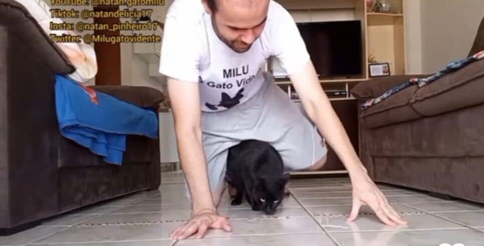 O gato vidente Milu e seu tutor em vídeo publicado nas redes sociais (Foto: Reprodução/ Instagram) O gato vidente Milu e seu tutor em vídeo publicado nas redes sociais (Foto: Reprodução/ Instagram)