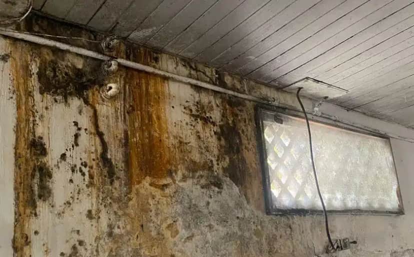 Panificação barrada pela Vigilância Sanitária - Foto: Internet Panificação barrada pela Vigilância Sanitária - Foto: Internet