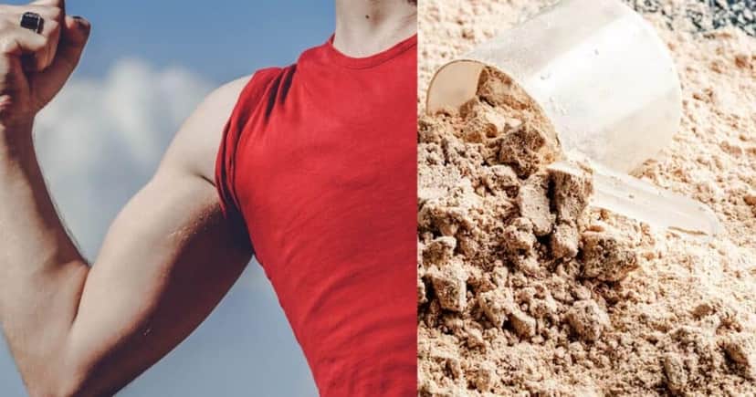 Whey Protein é popularmente usado para ganho muscular (Foto Reprodução/Montagem/Tv Foco/Canva) Whey Protein é popularmente usado para ganho muscular (Foto Reprodução/Montagem/Tv Foco/Canva)