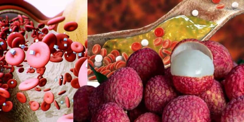 Açúcar e gordura no sangue pode ser combatido com o auxilio da Lichia (Foto Reprodução/Montagem/Lennita/Tv Foco/Internet) Açúcar e gordura no sangue pode ser combatido com o auxilio da Lichia (Foto Reprodução/Montagem/Lennita/Tv Foco/Internet)
