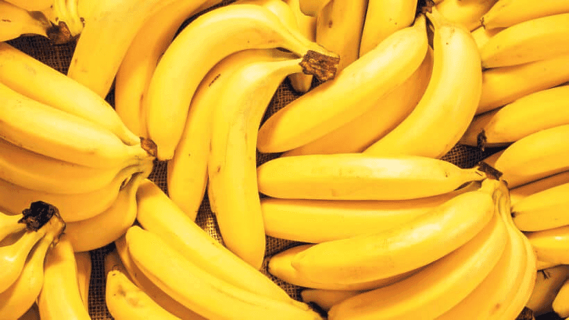 Banana (Foto Reprodução/Freepik) Banana (Foto Reprodução/Freepik)