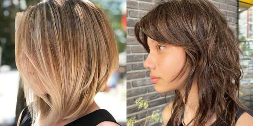 Corte Long Bob e Shaggy Hair (Reprodução: Montagem TV Foco) Corte Long Bob e Shaggy Hair (Reprodução: Montagem TV Foco)