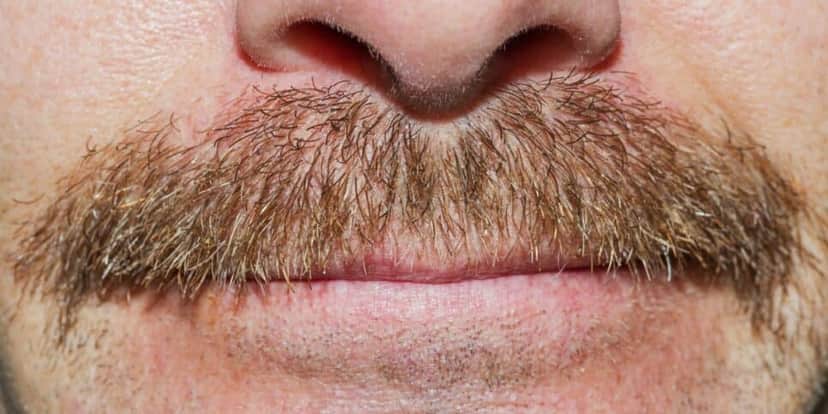 Bigode Bigode