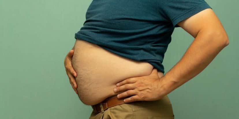 Barriga, Gordura Barriga, Gordura