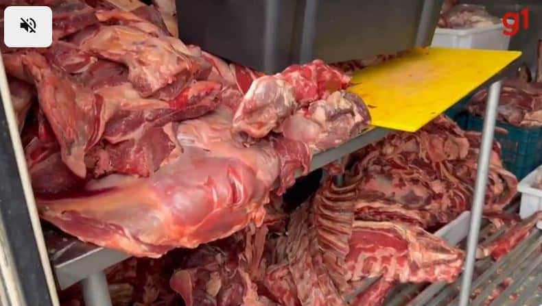 Carne em estado de decomposição (Foto Reprodução/G1) Carne em estado de decomposição (Foto Reprodução/G1)