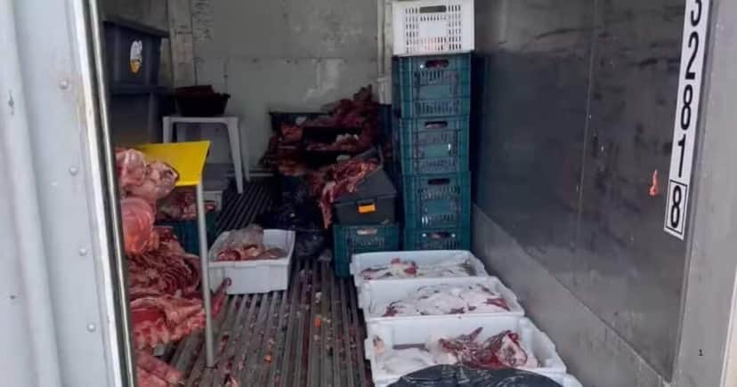 Vigilância Sanitária interdita açougue e container por conter carne esverdeada e apodrecida (Foto Reprodução/G1) Vigilância Sanitária interdita açougue e container por conter carne esverdeada e apodrecida (Foto Reprodução/G1)