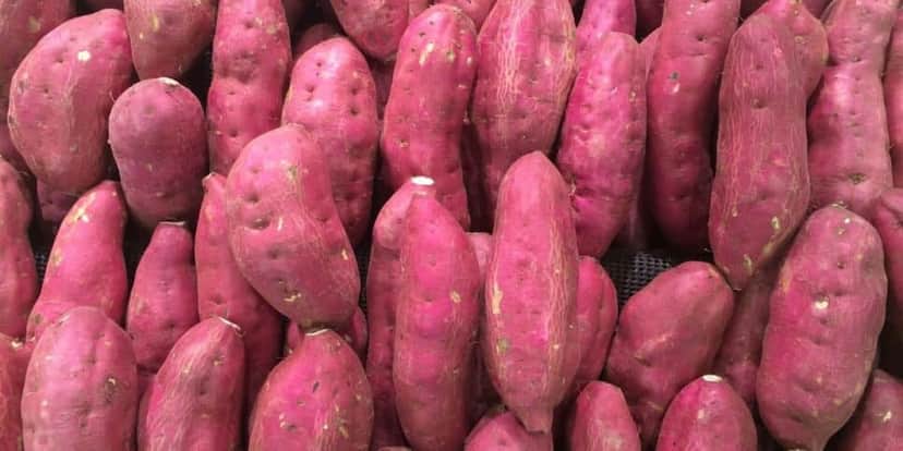Batata-doce Batata-doce