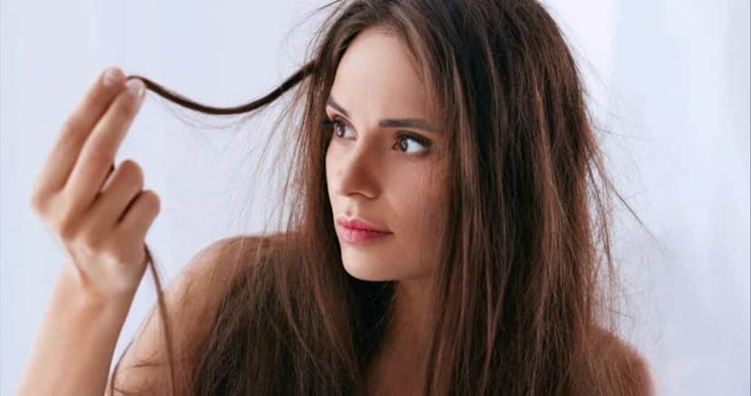http://tvfoco.uai.com.br/wp-content/uploads/2015/05/Daniela-Mercury.jpg http://tvfoco.uai.com.br/wp-content/uploads/2015/05/Daniela-Mercury.jpg