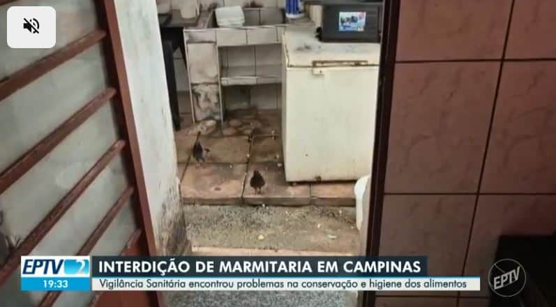 Presença de pombos andando livremente no interior da cozinha (Foto Reprodução/Globo) Presença de pombos andando livremente no interior da cozinha (Foto Reprodução/Globo)