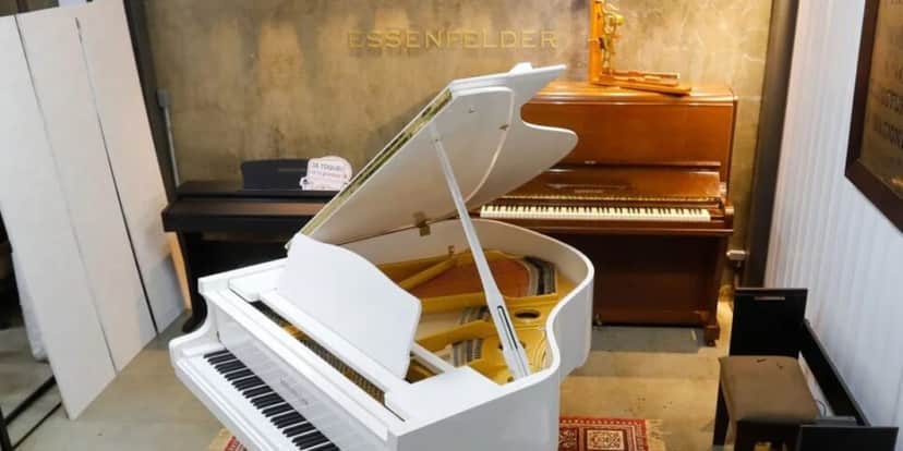 Piano da Essefender (Foto Reprodução/Essefender) Piano da Essefender (Foto Reprodução/Essefender)