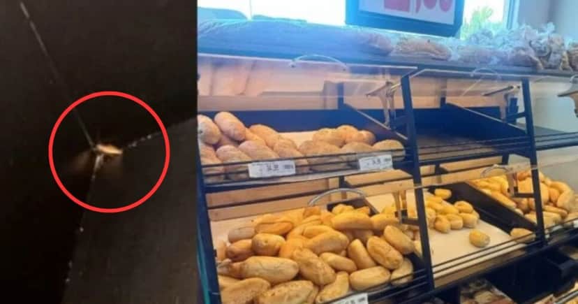 Baratas foram flagradas andando livremente entre os pães (Foto Reproduão/Montagem/Tv Foco/O Dia) Baratas foram flagradas andando livremente entre os pães (Foto Reproduão/Montagem/Tv Foco/O Dia)