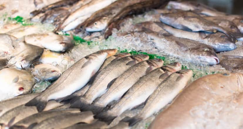 Estudo revelou alta concentração de peixe com contaminação de mercúrio em São Luís do Maranhão (MA) (Foto Reprodução/Internet) Estudo revelou alta concentração de peixe com contaminação de mercúrio em São Luís do Maranhão (MA) (Foto Reprodução/Internet)
