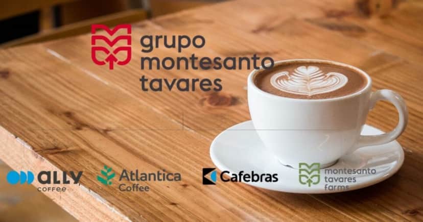 Empresas que compõe o Grupo Montesanto Tavares (Foto Reprodução/Montagem/site oficial/Lennita/Canva) Empresas que compõe o Grupo Montesanto Tavares (Foto Reprodução/Montagem/site oficial/Lennita/Canva)