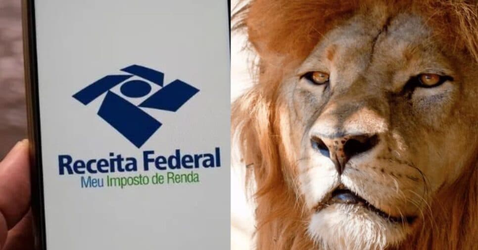 Imposto de Renda com isenção até R$5 mil (Reprodução: Montagem TV Foco) Imposto de Renda com isenção até R$5 mil (Reprodução: Montagem TV Foco)