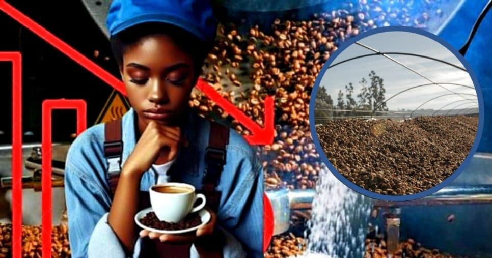 Risco de falência e mais de R$2B em dívidas: Gigante do café agoniza durante a gestão Zema em MG