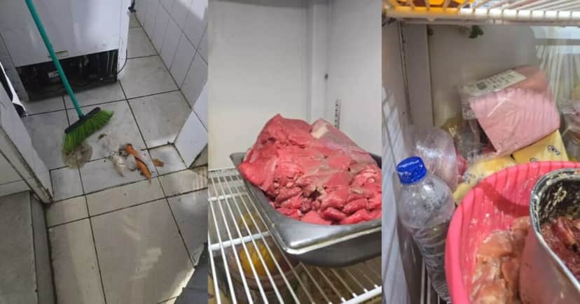 Restaurantes são interditados após nojeira e comida podre (Foto Reprodução/Montagem/Vigilância Sanitária) Restaurantes são interditados após nojeira e comida podre (Foto Reprodução/Montagem/Vigilância Sanitária)