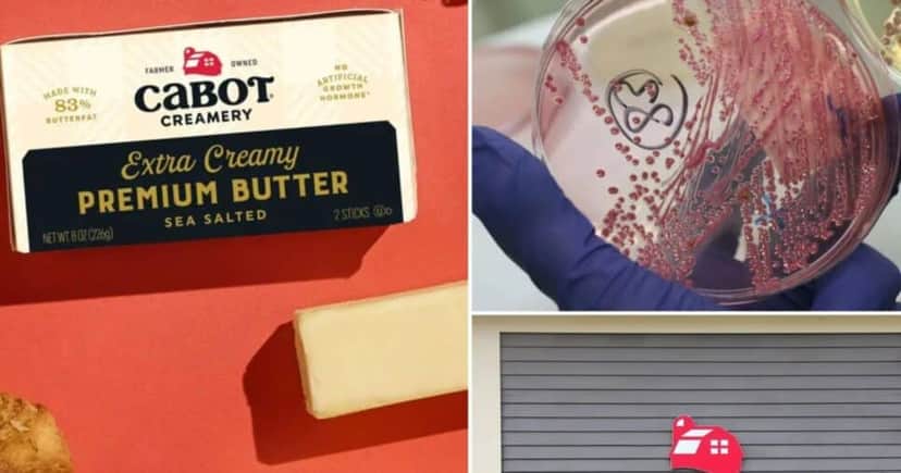 Cabot Creamery passou por recall após risco por contaminação fecal (Foto Reprodução/ New York Post) Cabot Creamery passou por recall após risco por contaminação fecal (Foto Reprodução/ New York Post)