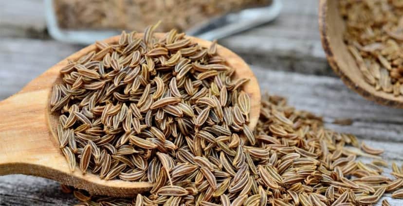 Caraway Tea Company teve seu declínio ainda no começo da pandemia (Foto Reprodução/Sativa) Caraway Tea Company teve seu declínio ainda no começo da pandemia (Foto Reprodução/Sativa)