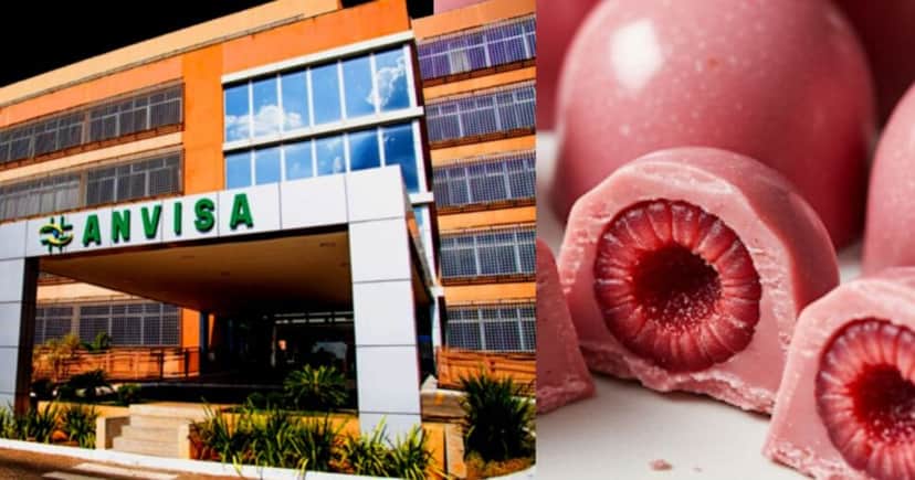 ANVISA proíbe chocolate famoso após constatar riscos na fabricação (Foto Reprodução/Montagem/Lennita/Tv Foco/Canva) ANVISA proíbe chocolate famoso após constatar riscos na fabricação (Foto Reprodução/Montagem/Lennita/Tv Foco/Canva)