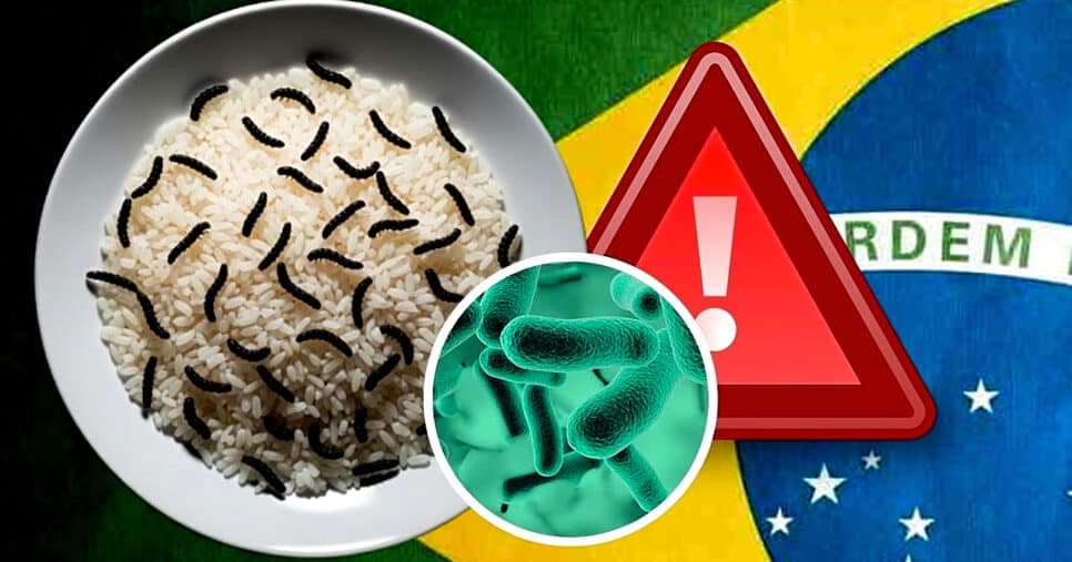 Arroz com larvas e alerta de contaminação: Denúncia contra marca n°1 tira chão de consumidores