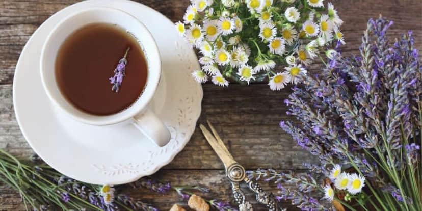 Chá de lavanda (Foto: Canva) Chá de lavanda (Foto: Canva)